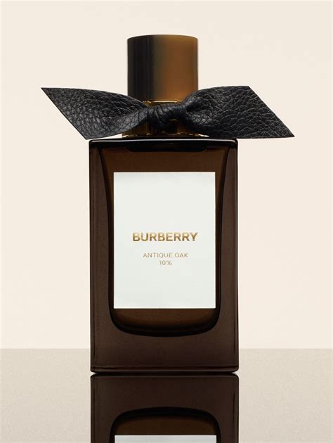 tetine burberry|burberry signatures for men.